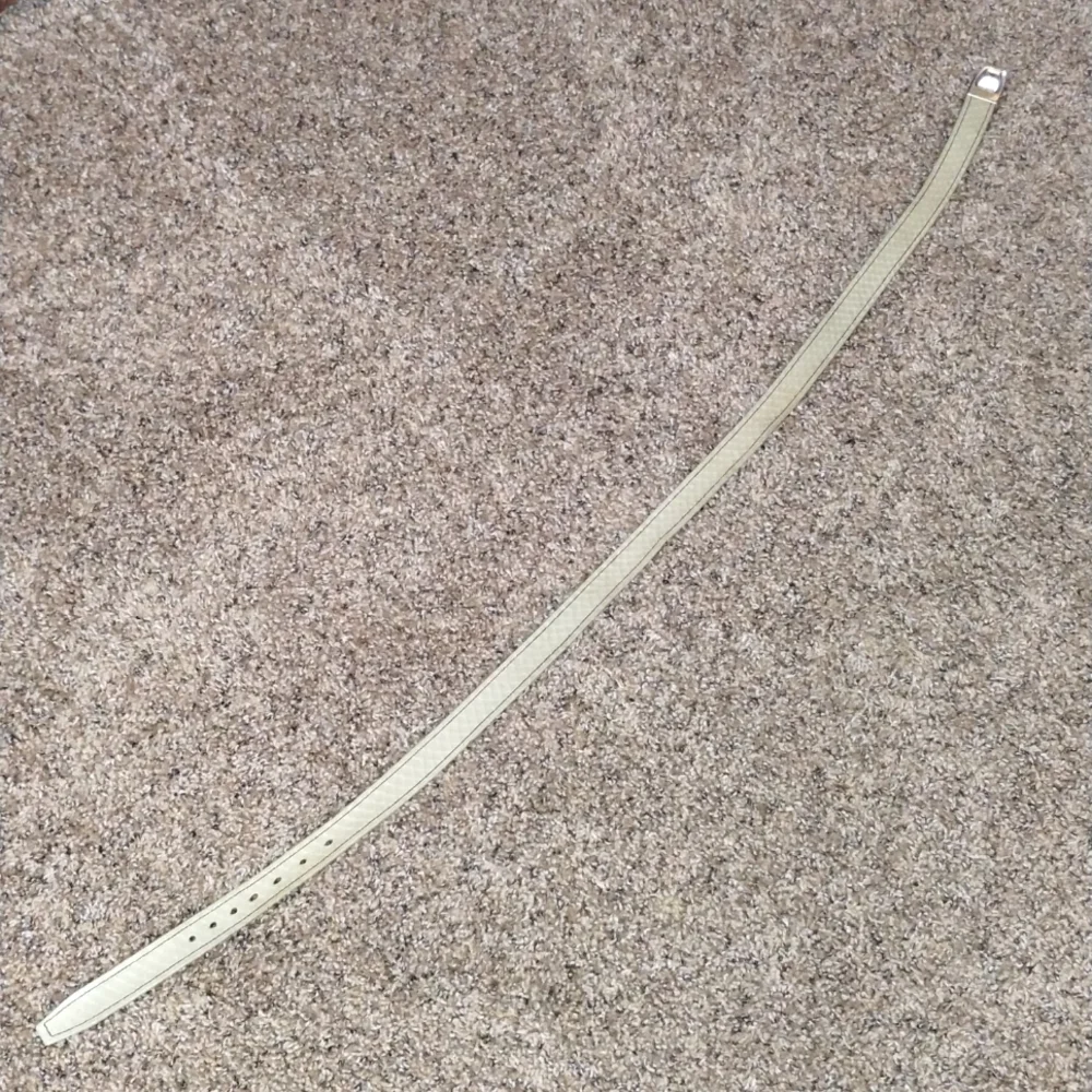 Vintage Lizard Belt